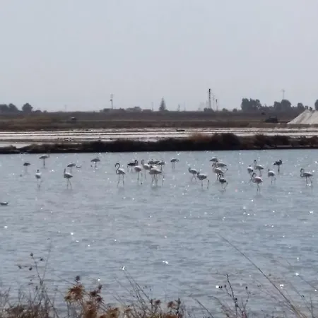 Bed & Breakfast Trapani Bedda 4*