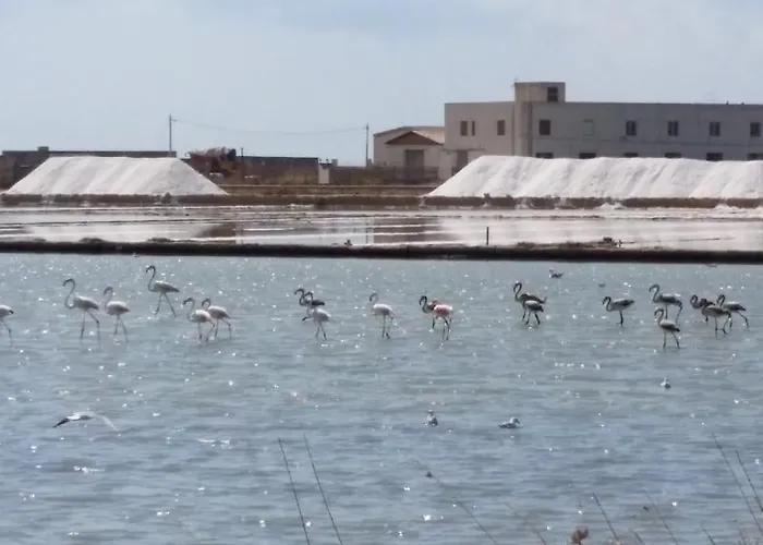 Trapani Bedda