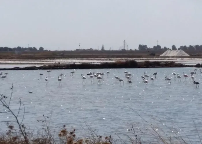 住宿加早餐酒店 Trapani Bedda 4*